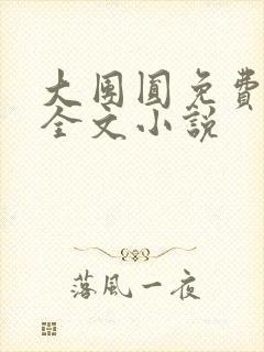 大团圆免费阅读全文小说