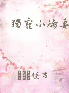 独宠小娇妻