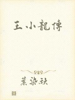 王小龙传