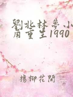 刘北林梦小说主角重生1990
