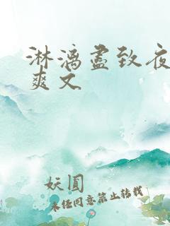 淋漓尽致夜晚小爽文