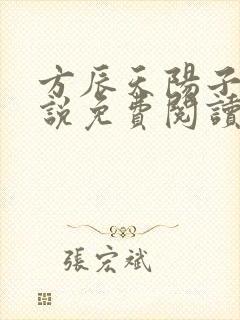 方辰天阳子的小说免费阅读