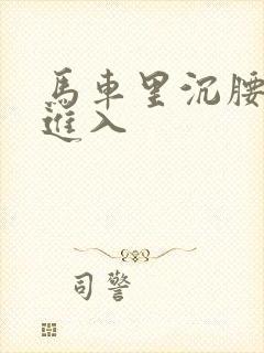 马车里沉腰缓缓进入