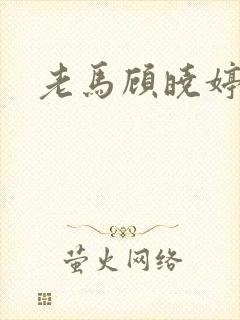 老马顾晓婷小说