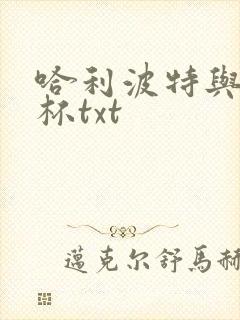 哈利波特与火焰杯txt