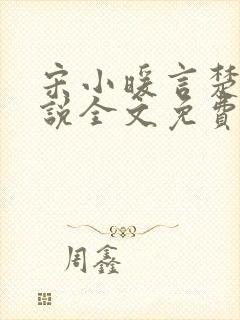 宋小暖言楚行小说全文免费阅读