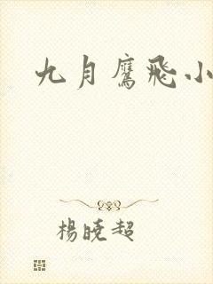 九月鹰飞小说