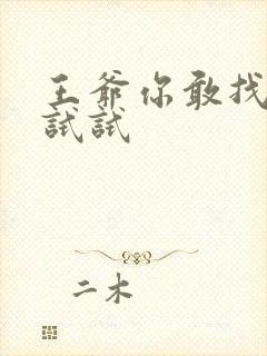 王爷你敢找小三试试