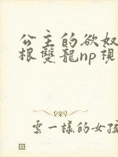 公主的欲奴h四根双龙np视频