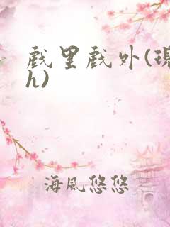 戏里戏外(现场h)