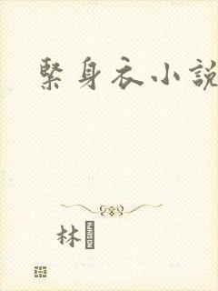 紧身衣小说