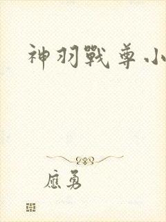 神羽战尊小说
