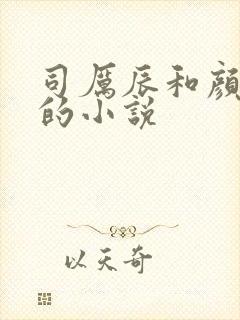 司厉辰和颜辞兮的小说