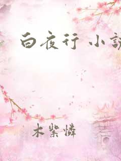 白夜行 小说