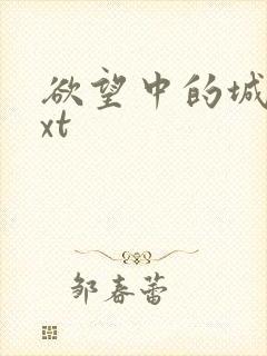 欲望中的城市txt