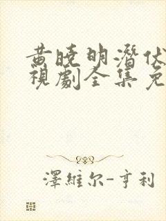 黄晓明潜伏者电视剧全集免费观看