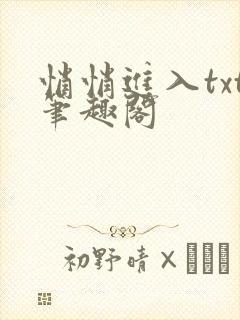 悄悄进入txt笔趣阁