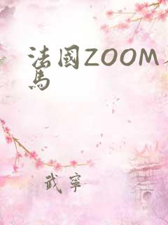 法国ZOOM人马