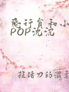 飞行员和小空乘POP沈沉