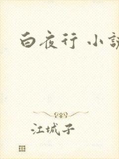 白夜行 小说