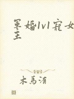 军婚1v1宠女主