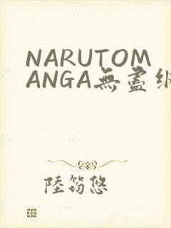 NARUTOMANGA无尽纲手