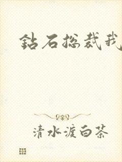 钻石总裁我已婚