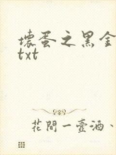 坏蛋之黑金帝国txt