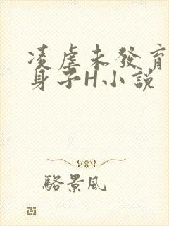 凌虐未发育的小身子H小说