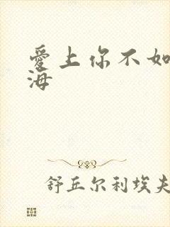 爱上你不如爱上海