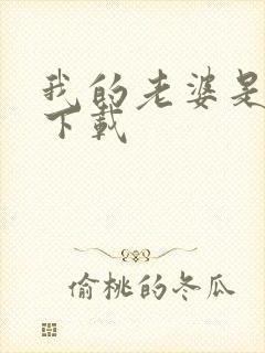 我的老婆是卧底下载