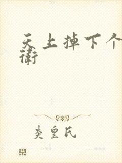 天上掉下个影卫卫