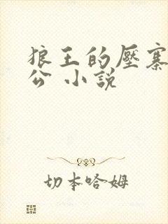 狼王的压寨小相公 小说