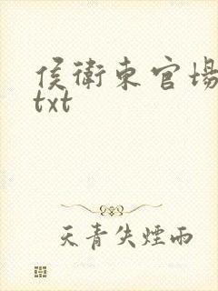 侯卫东官场笔记txt