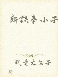 新铁拳小子