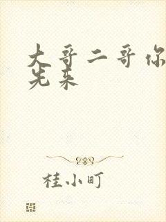 大哥二哥你们谁先来