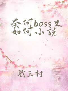 奈何boss又如何小说