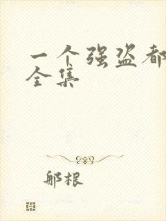 一个强盗都不留全集