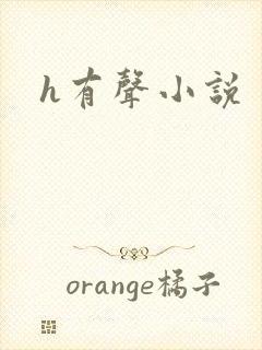 h有声小说