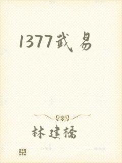 1377武易