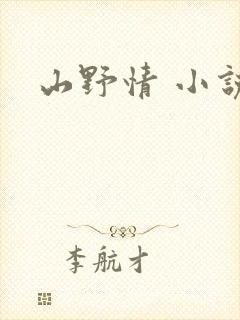 山野情 小说