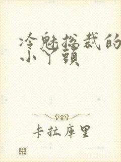 冷魅总裁的纯纯小丫头