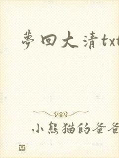 梦回大清txt