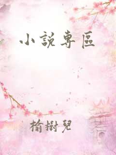 小说专区
