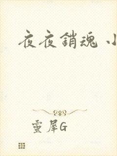 夜夜销魂 小说