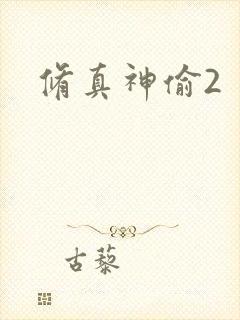 修真神偷2