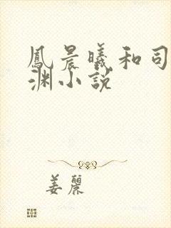 凤晨曦和司鸿颜渊小说