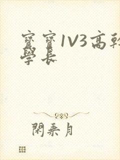 宝宝1V3高干学长