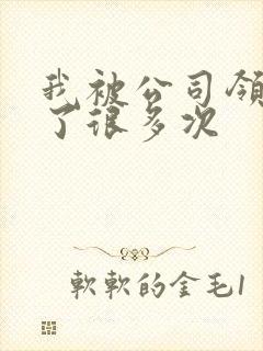 我被公司领导C了很多次