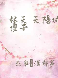 林天 天阳城 傻子